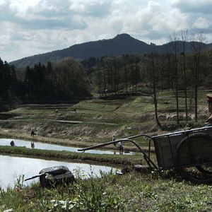 Bilder Koji Wakamatsu