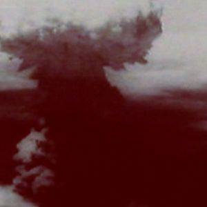 Bilder Koji Wakamatsu