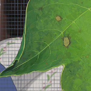 Bilder Arrietty - Die wundersame Welt der Borger