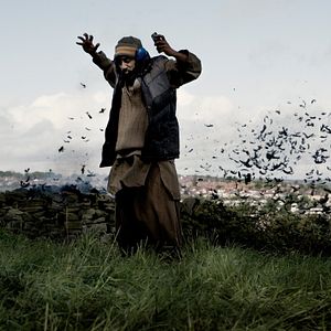 Bilder Four Lions