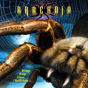 Bilder Arachnia