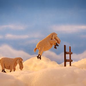 Bilder Jesper Møller