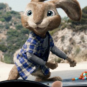 Bilder Hop - Osterhase oder Superstar