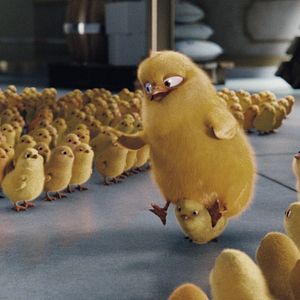 Bilder Hop - Osterhase oder Superstar