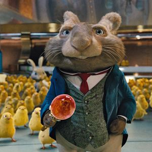 Bilder Hop - Osterhase oder Superstar