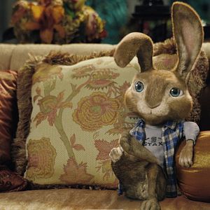 Bilder Hop - Osterhase oder Superstar