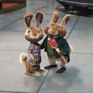 Bilder Hop - Osterhase oder Superstar