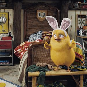 Bilder Hop - Osterhase oder Superstar