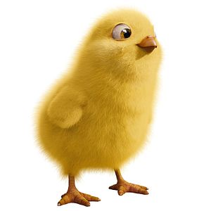 Bilder Hop - Osterhase oder Superstar