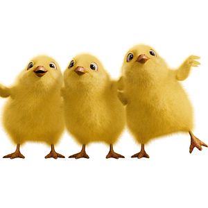 Bilder Hop - Osterhase oder Superstar