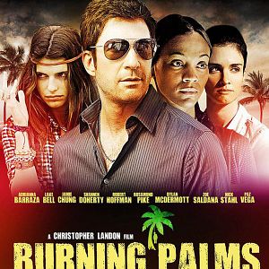 Bilder Burning Palms