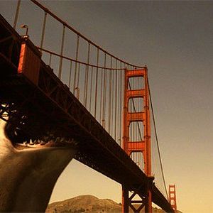 Bilder Mega Shark vs Crocosaurus