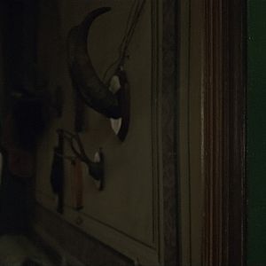 Bilder Valérie Bonneton