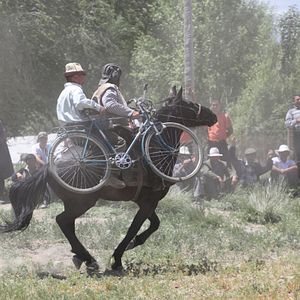 Bilder Der Dieb des Lichts