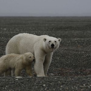 Bilder Russland - Im Reich der Tiger, Bären und Vulkane