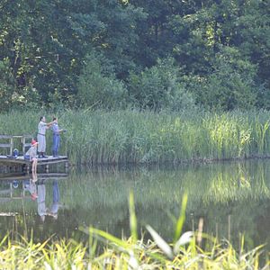 Bilder Das rote Zimmer