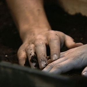 Bilder Blanca Suárez