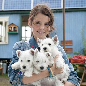 Bilder Löwenzahn - Das Kinoabenteuer