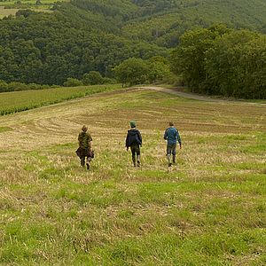 Bilder Martin Nissen