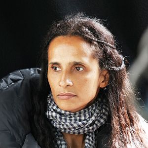 Bilder Kuss des Schmetterlings