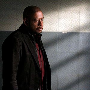 Bilder Criminal Minds: Team Red