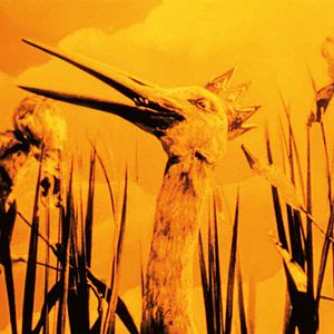 Bilder Ladislas Starewitch