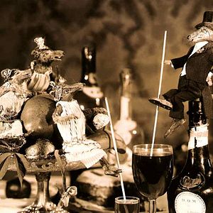 Bilder Ladislas Starewitch