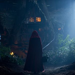 Bilder Amanda Seyfried