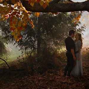 Bilder Amanda Seyfried