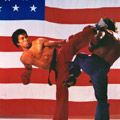 Bilder American Kickboxer - Blood Fighter