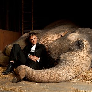 Bilder Robert Pattinson