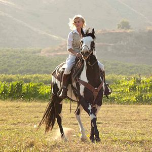 Bilder Wasser für die Elefanten