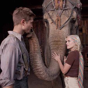 Bilder Wasser für die Elefanten