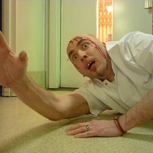 Bilder Der Aufstand der Tannenbäume