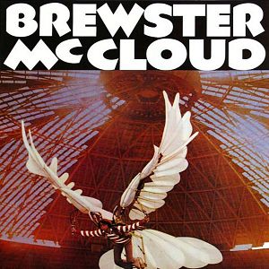 Bilder Nur Fliegen ist schöner