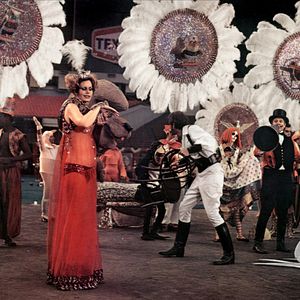 Bilder Nur Fliegen ist schöner