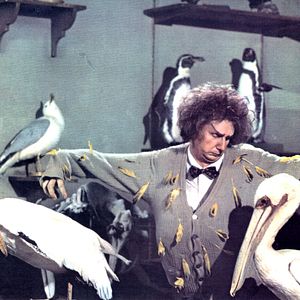 Nur Fliegen ist schöner - Film 1970 - FILMSTARTS.de