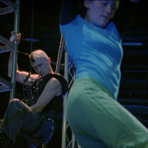 Bilder Birds get vertigo too