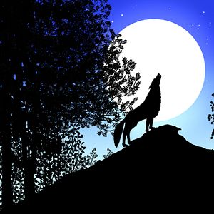 Bilder Tales Of The Night