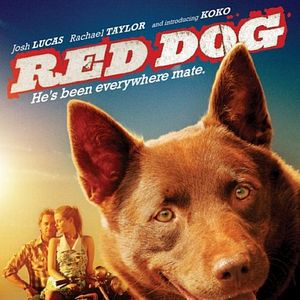 Bilder Red Dog