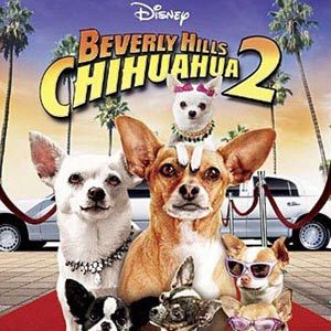 Bilder Beverly Hills Chihuahua 2