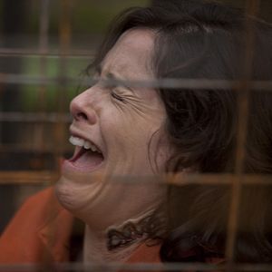 Bilder Olivier Abbou