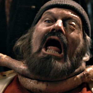 Bilder Adam Green (VI)