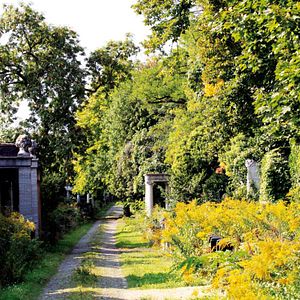 Bilder Im Himmel, Unter der Erde - Der Jüdische Friedhof Weißensee