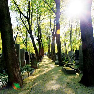 Bilder Im Himmel, Unter der Erde - Der Jüdische Friedhof Weißensee