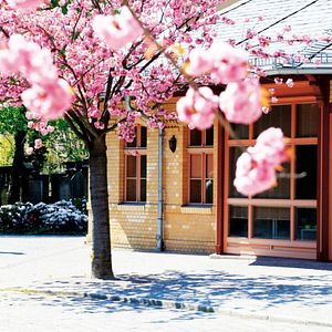 Bilder Im Himmel, Unter der Erde - Der Jüdische Friedhof Weißensee