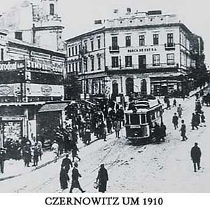 Bilder Katharina Schubert (II)