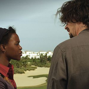 Bilder Black Brown White