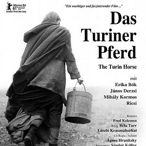 Bilder Das Turiner Pferd