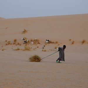 Bilder Nathalie Borgers